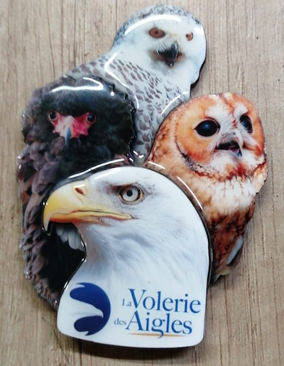 Image of magnet in resin, in the shape of an animal